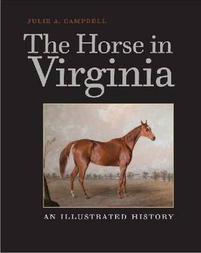 Cover image for The Horse in Virginia: An Illustrated History