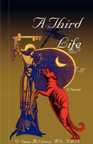 Cover image for A Third Life, a Novel