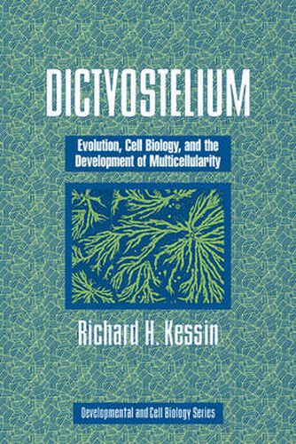 Cover image for Dictyostelium: Evolution, Cell Biology, and the Development of Multicellularity