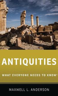 Cover image for Antiquities: What Everyone Needs to Know (R)