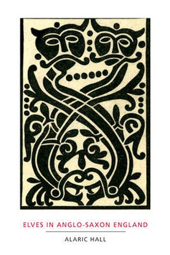 Cover image for Elves in Anglo-Saxon England: Matters of Belief, Health, Gender and Identity