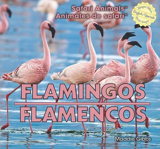 Cover image for Flamingos / Flamencos