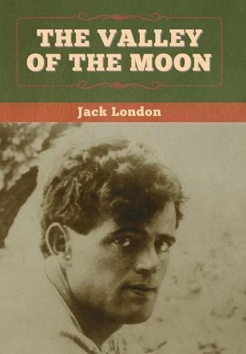 Cover image for The Valley of the Moon