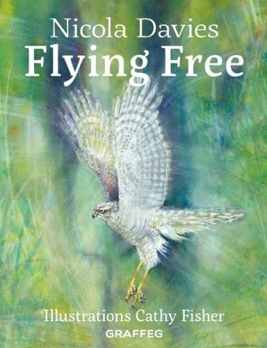 Cover image for Flying Free