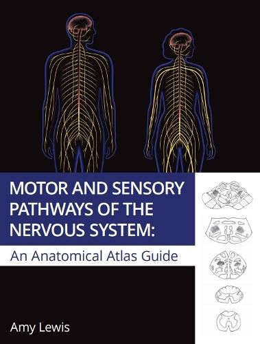 Cover image for Motor and Sensory Pathways of the Nervous System:: An Anatomical Atlas Guide