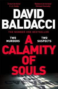 Cover image for A Calamity of Souls