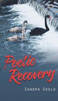 Cover image for Poetic Recovery