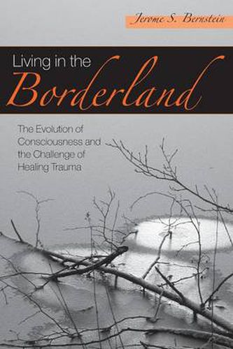 Cover image for Living in the Borderland: The Evolution of Consciousness and the Challenge of Healing Trauma