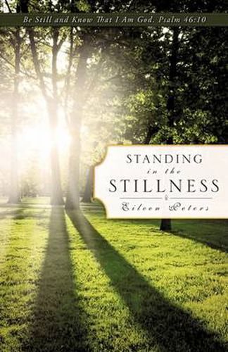 Cover image for Standing In The Stillness