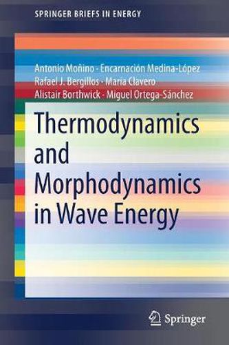 Thermodynamics and Morphodynamics in Wave Energy