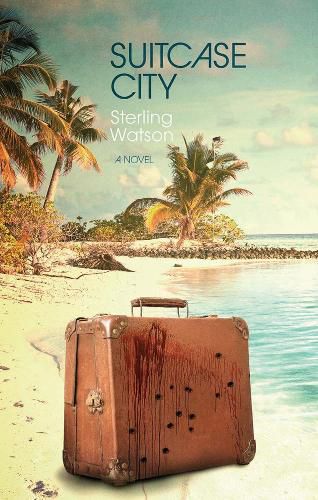 Cover image for Suitcase City: A Novel