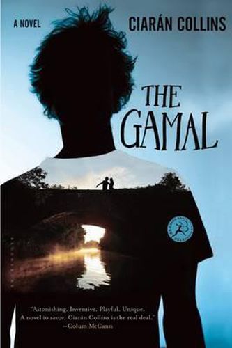 Cover image for The Gamal