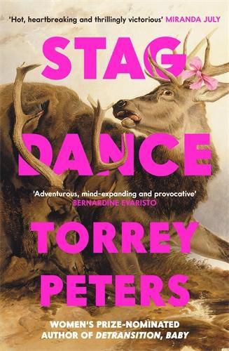 Cover image for Stag Dance