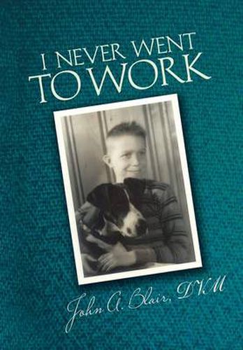 Cover image for I Never Went to Work