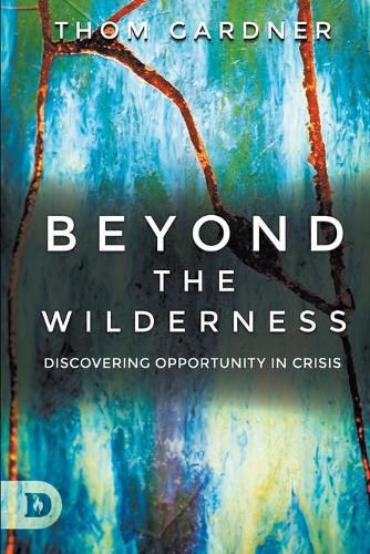 Cover image for Beyond the Wilderness: Discovering Opportunity In Crisis