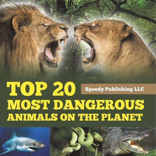 Cover image for Top 20 Most Dangerous Animals On The Planet