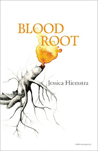 Cover image for Blood Root
