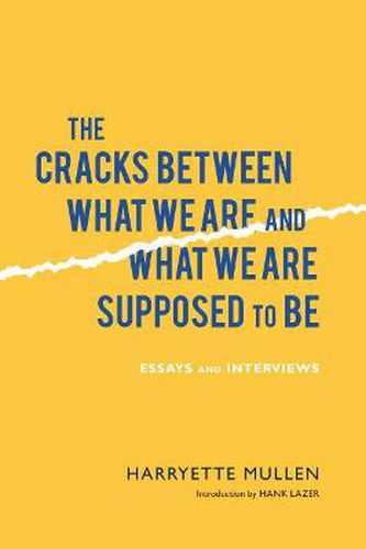 Cover image for The Cracks Between What We Are and What We Are Supposed to Be: Essays and Interviews