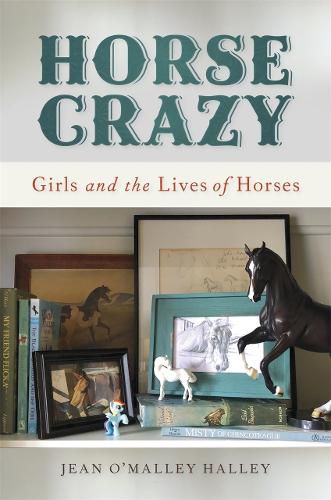 Cover image for Horse Crazy: Girls and the Lives of Horses