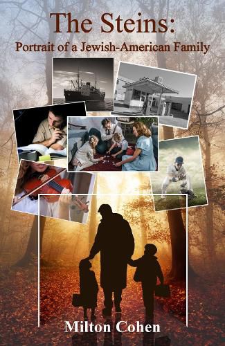Cover image for The Steins: Portrait of a Jewish American Family