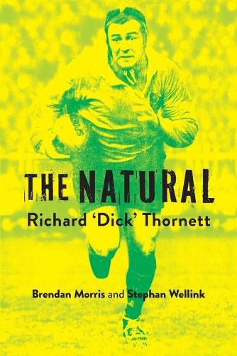 Cover image for The Natural