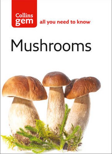 Cover image for Mushrooms