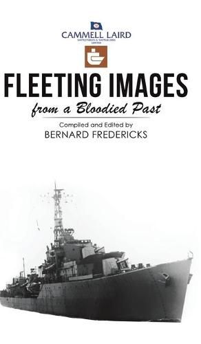 Cover image for Fleeting Images from a Bloodied Past