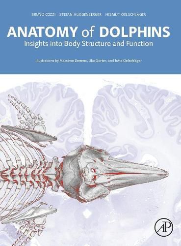 Cover image for Anatomy of Dolphins: Insights into Body Structure and Function