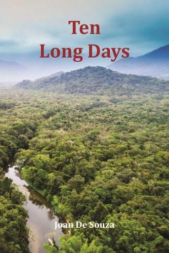 Cover image for Ten Long Days