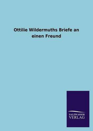 Cover image for Ottilie Wildermuths Briefe an einen Freund