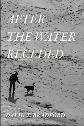 Cover image for After the Water Receded