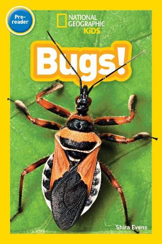 Cover image for National Geographic Kids Readers: Bugs (Pre-Reader)