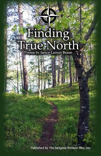 Cover image for Finding True North