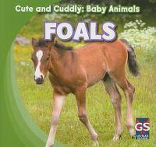 Cover image for Foals