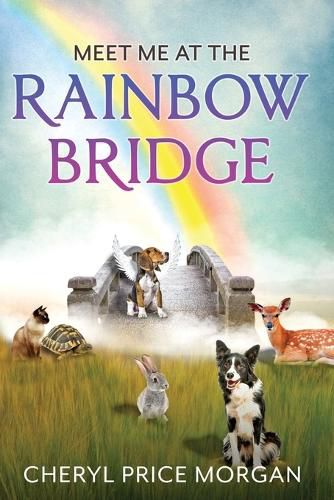 Cover image for Meet Me at the Rainbow Bridge