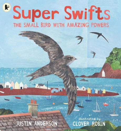 Cover image for Super Swifts: The Small Bird With Amazing Powers