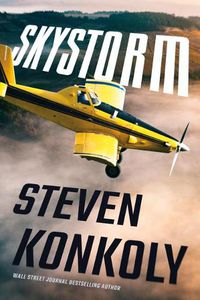 Cover image for Skystorm