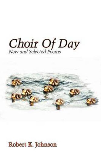 Cover image for Choir Of Day