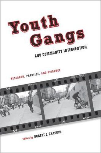 Cover image for Youth Gangs and Community Intervention: Research, Practice, and Evidence