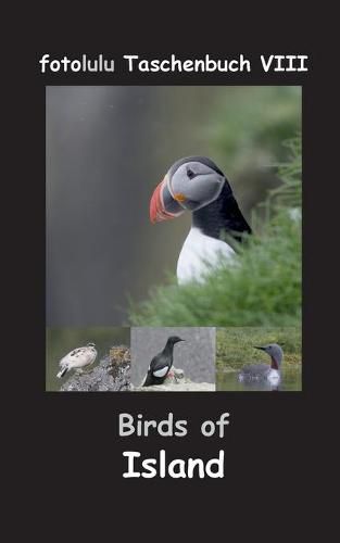 Cover image for Birds of Island