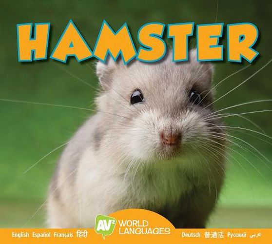 Cover image for Hamster