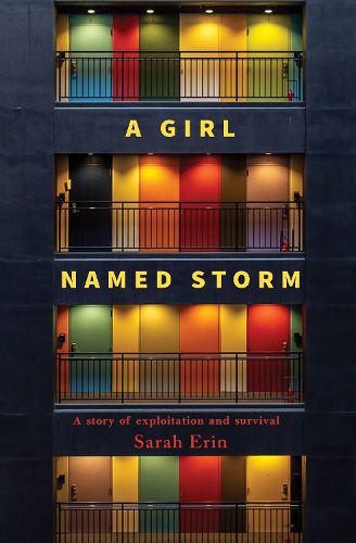 Cover image for A Girl Named Storm