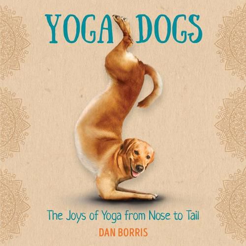 Cover image for Yoga Dogs