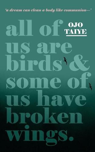 Cover image for All of Us are Birds and Some of Us Have Broken Wings