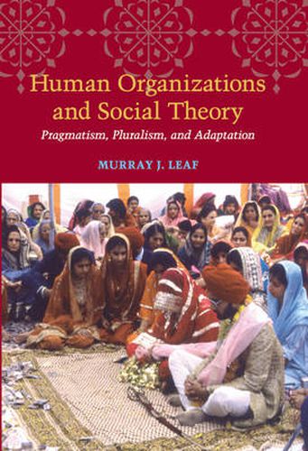 Cover image for Human Organizations and Social Theory: Pragmatism, Pluralism, and Adaptation