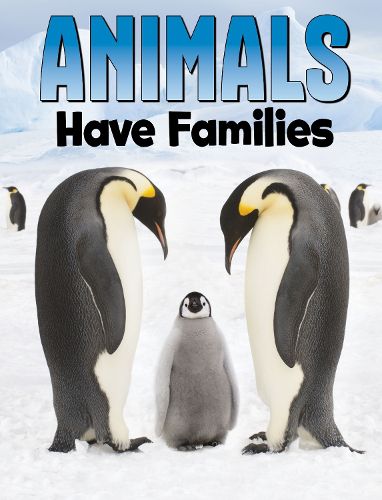 Cover image for Animals Have Families