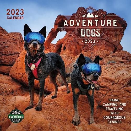 Cover image for Adventure Dogs 2023 Wall Calendar