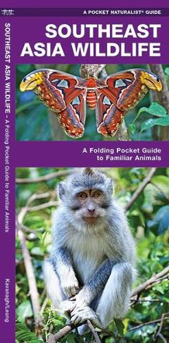 Cover image for Southeast Asia Wildlife: A Folding Pocket Guide to Familiar Animals