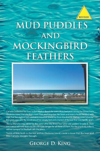 Cover image for Mud Puddles and Mockingbird Feathers and The Sky is Crying