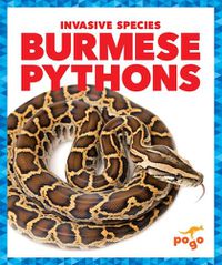 Cover image for Burmese Pythons